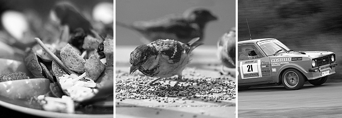 Michał Górczyński Beatbox, eatbox, birdbox, carbox