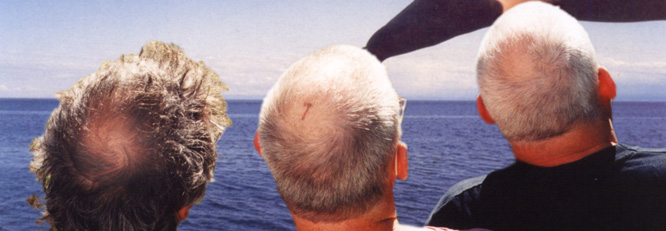 Nomeansno Be Strong, Be Wrong