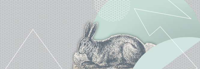 Zooplan Grawitacja i niegrawitacja