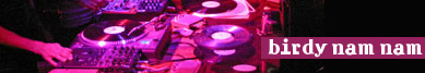 Birdy Nam Nam wywiad