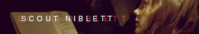 Scout Niblett wywiad