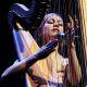 Joanna Newsom [fot. Piotr Lewandowski]