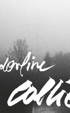 BORDERLINE COLLIE BORDERLINE COLLIE