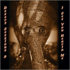 Desert Sessions Vol.9 / Vol.10 I See You Hearin Me / I Heart disco