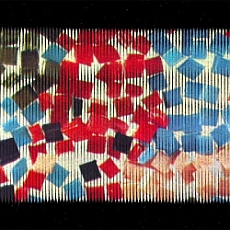 Keith Fullerton Whitman Disingenuity/Disgenuousness