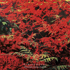 STWORYWODNE Black Muds, Bad Big Village