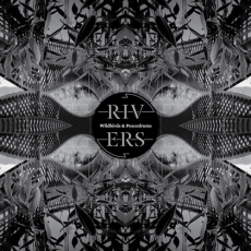 Wildbirds & Peacedrums Rivers