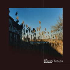 THE CINEMATIC ORCHESTRA Ma Fleur