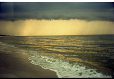 Alameda 3 Późne Królestwo