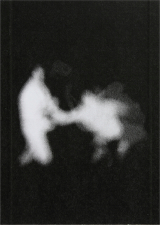 BIRDS BUILD NESTS UNDERGROUND Kiss