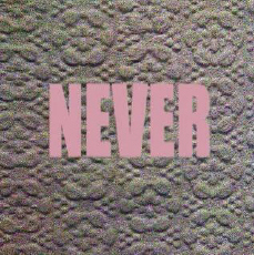 MICACHU AND THE SHAPES Never