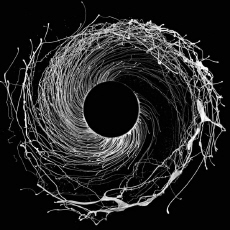 Dawn of Midi Dysnomia