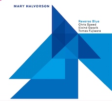 Mary Halvorson Reverse Blue