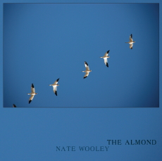 NATE WOOLEY The Almond