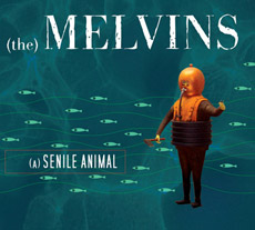 The Melvins A Senile Animal