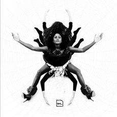 Jahcoozi Barefoot Wanderer