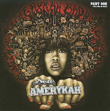 Erykah Badu New Amerykah
