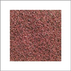 Travis Laplante & Peter Evans Secret Meeting