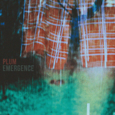 PLUM Emergence