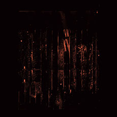 thalassa bonds of prosperity 