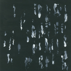 Sightings Amusers and Puzzlers