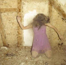 KAMMERFLIMMER KOLLEKTIEF Absencen