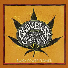 brant bjork & the low desert punk band  black power flower
