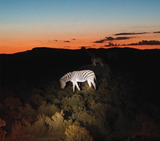 Mateusz Franczak Long Story Short