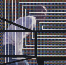 David Grubbs The Plain Where The Palace Stood