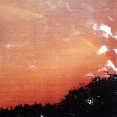 GOLDMUND Corduroy Road