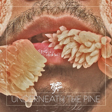 Toro Y Moi Underneath the Pine