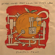 WEASEL WALTER /MARY HALVORSON / PETER EVANS Electric Fruit