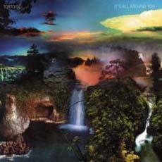 TORTOISE It`s All Around You