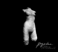 Pogodno Wasza Wspaniałość