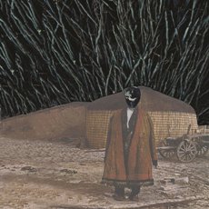 Bachorze Okoły Gnębione Wiatrem