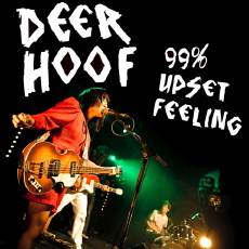 DEERHOOF 99% Upset Feeling