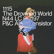 1115 (one thousand hundread fifteen) Drowned World