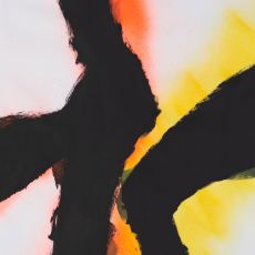 Rob Mazurek & Emmett Kelly Alien Flower Sutra