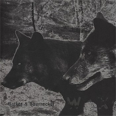 BARKER & BAUMECKER Transsektoral