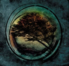 TIDES FROM NEBULA Aura