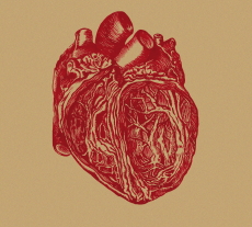 Michał Biela Michał Biela