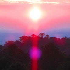 Grouper  Paradise Valley EP