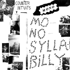 Counter Intuits  Monosyllabilly