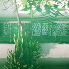 ELECTRIC ELECTRIC Discipline