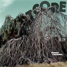 WILDBIRDS & PEACEDRUMS Heartcore