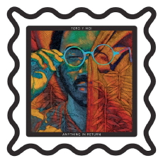 TORO Y MOI Anything In Return