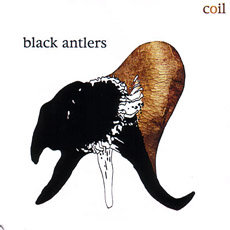 COIL  Black Antlers