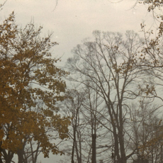Cétieu Ceiling Stories