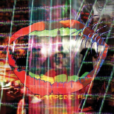 ANIMAL COLLECTIVE Centipede HZ