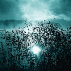 Mario Diaz de Leon Hypnos